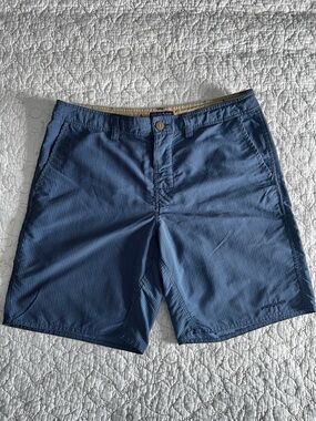 Patagonia Blue Striped Men's Shorts